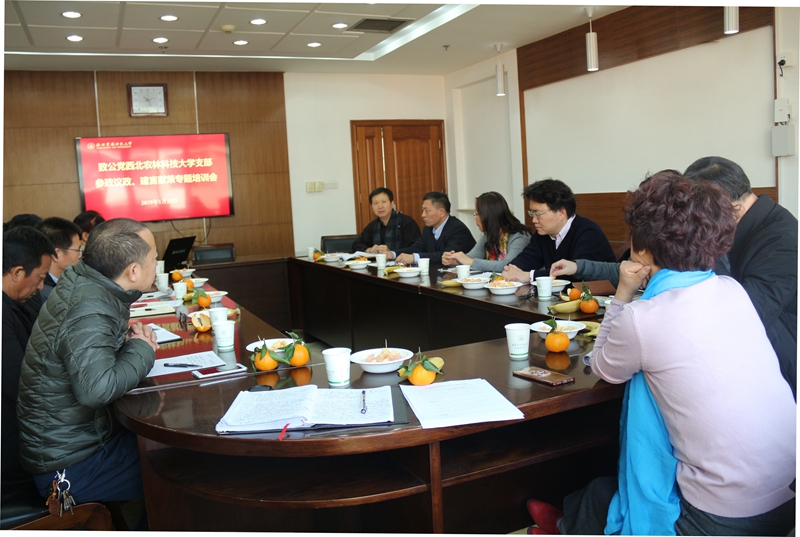 培训会现场.jpg